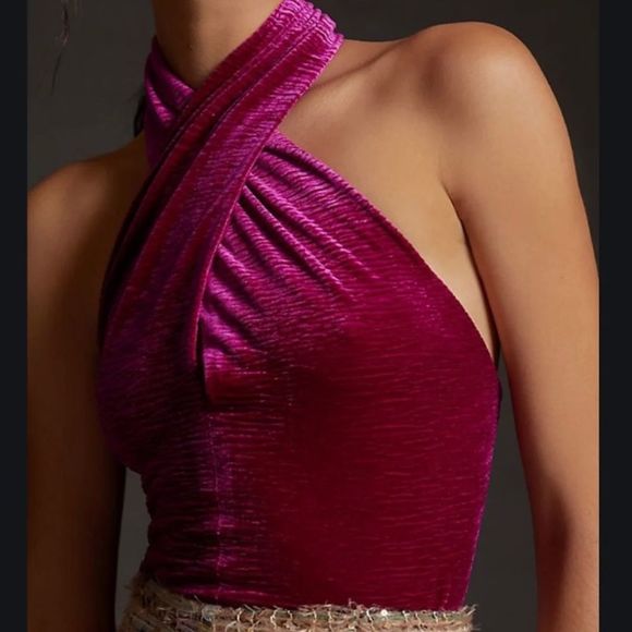 Anthropologie Dolan Left Coast Velvet Halter Tank * Stunning and NWT - Picture 3 of 3